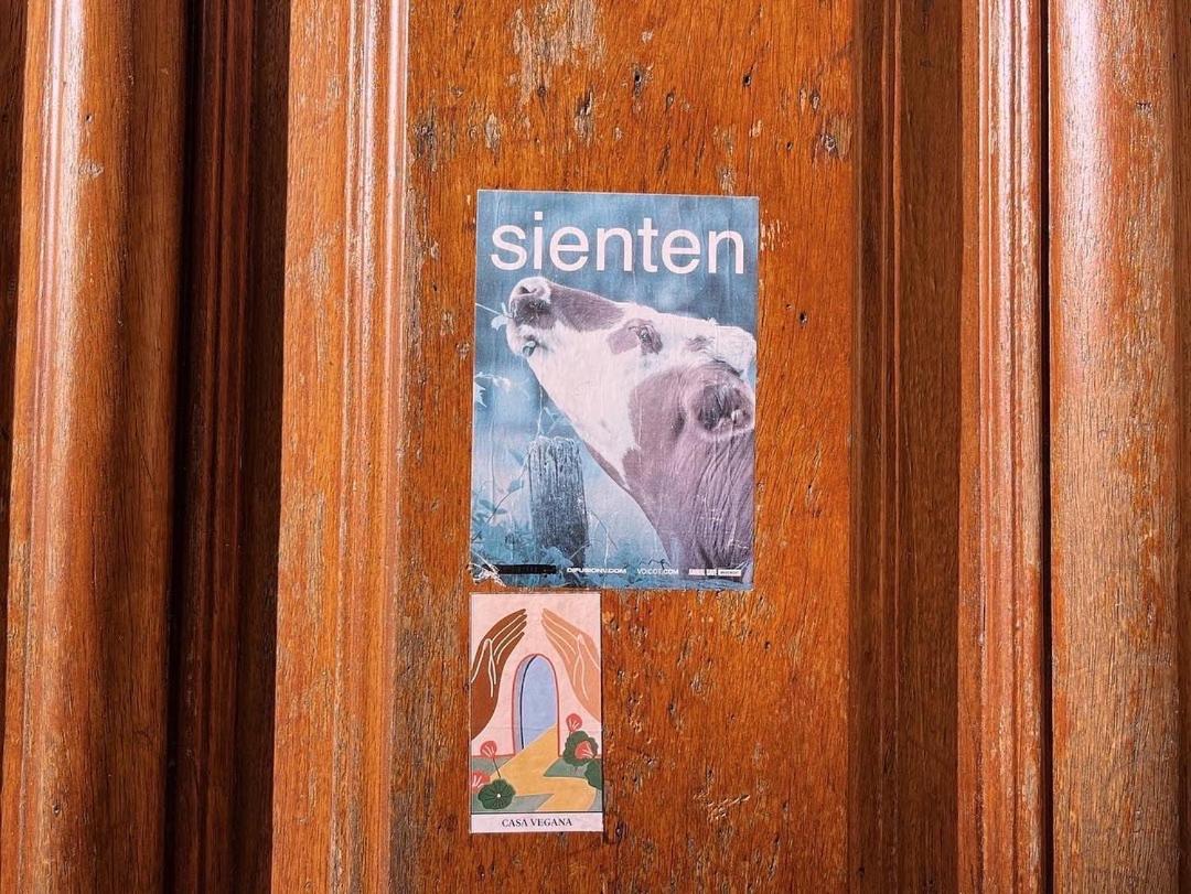 Casa Vegana Leilighet Montevideo Eksteriør bilde